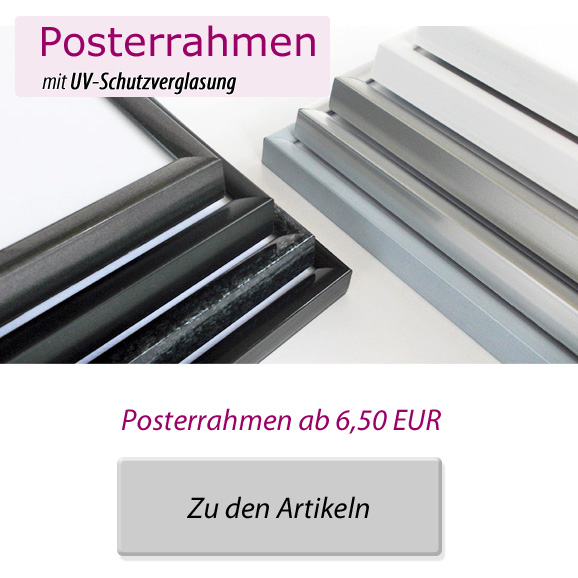 Posterrahmen kaufen