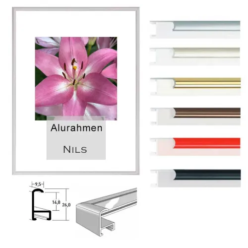 Aluminium Bilderrahmen Nils im Format DIN A5, A4, A3, A2, A1