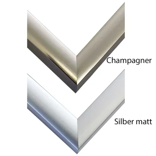 Alurahmen Norden in Silber matt und Champagner - Din A1, A2, A3, A4, A5