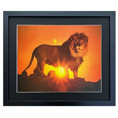 Bild mit Rahmen Wandbild Löwe bei Sonnenuntergang