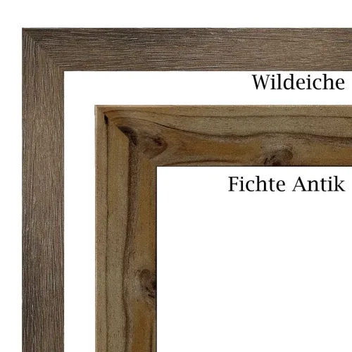 Wildeiche, Fichte Antik