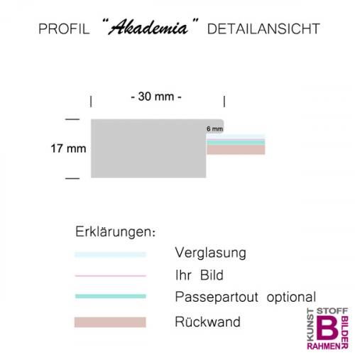Panorama Bilderrahmen 30x75 / 75x30 cm, Akademia