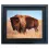 Bild mit Rahmen Wandbild Amerikanischer Bison