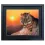 Bild mit Rahmen Wandbild Tiger bei Sonnenuntergang quer