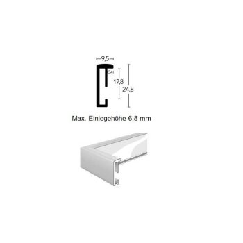 Alu-Bilderrahmen 105x132 / 132x105 cm Profil 5 Neo