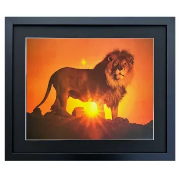 Bild mit Rahmen Löwe bei Sonnenuntergang