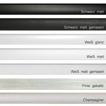 Poster Bilderrahmen 60x80 / 80x60 cm, Akademia