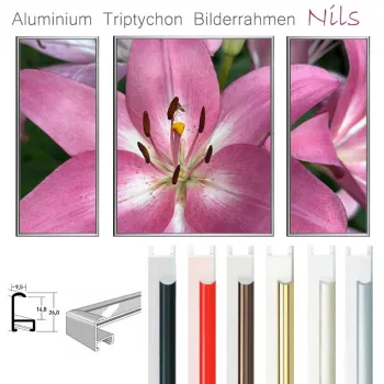 Triptychon Bilderrahmen, Aluminium Profil Nils - verschiedene Formate