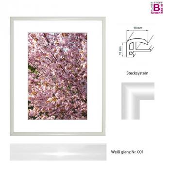 Wechselrahmen 10x40 cm, Elegance